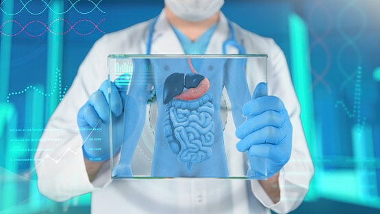 Arzt mit Mundschutz und Handschuhen hält Tafelmodell mit Illustration von Leber, Magen, Dünndarm und Dickdarm vor digitalem Hintergrund