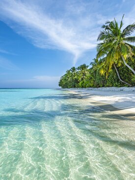 Tropischer Sandstrand mit weißem Sand, türkisblauem Meer, grünen Palmen und blauem Himmel