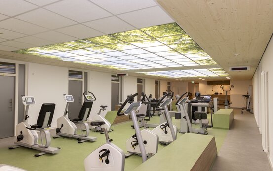 Moderner Fitnessraum mit mehreren Ergometern und Sitzfahrrädern auf grünem Boden, helle Deckenbeleuchtung mit Naturmotiv