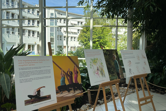 Bilder auf Staffeleien in hellem Ausstellungsbereich