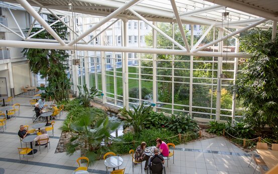 Heller Wintergarten in Klinik mit großen Glasfenstern, Grünpflanzen, Menschen an Tischen, entspannte Atmosphäre