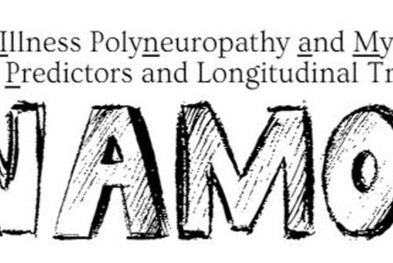 Logo von cinamops mit schwarzem Schriftzug „cinamops“ auf weißem Hintergrund