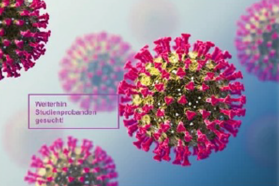 3D-Darstellung mehrerer Coronavirus-Partikel mit rosa Spikes auf blauem Hintergrund, links Textfeld „Weiterhin Studienprobanden gesucht!“