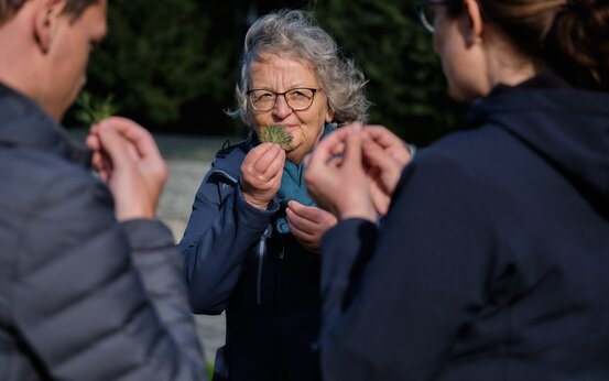 Drei Personen riechen an grünen Pflanzen im Freien, Fokus auf Achtsamkeitstherapie und bewusste Sinneswahrnehmung in der Natur