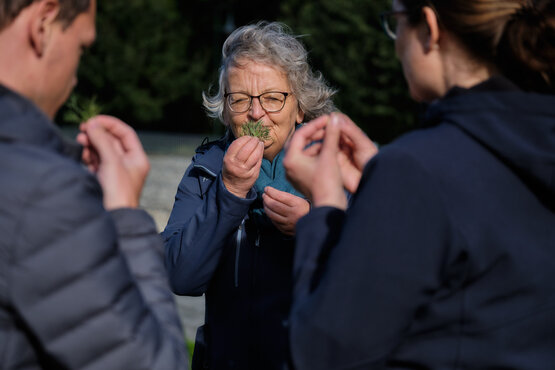 Drei Personen riechen an grünen Pflanzen im Freien, Fokus auf Achtsamkeitstherapie und bewusste Sinneswahrnehmung in der Natur