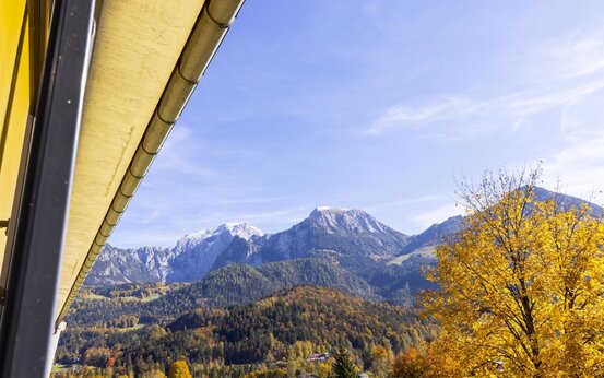 Blick aus Klinik auf herbstlichen Baum, Alpenpanorama und blauen Himmel in ruhiger Naturumgebung