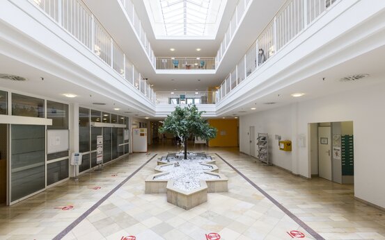 Zweistöckiges, helles Atrium mit Glasdach, zentralem Pflanzenbeet, Baum, weißen Steinen und barrierefreiem Zugang