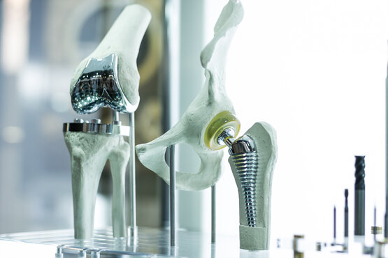 Detailaufnahme eines anatomischen Modells mit künstlichem Hüftgelenk (Hüftprothese) im Becken