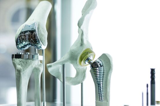 Anatomische Modelle von Knie- und Hüftgelenk mit metallischen Implantaten