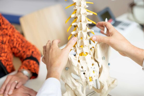 Detailaufnahme von zwei Händen, die an einem anatomischen Wirbelsäulenmodell mit gelben Nervensträngen zeigen und erklären