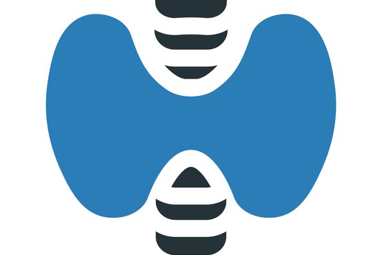 Illustration endokriner Drüsen