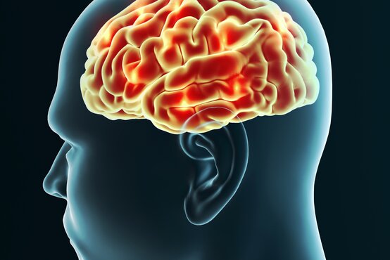 Seitliche Ansicht eines durchscheinenden menschlichen Kopfes mit sichtbar hervorgehobenem, leuchtend rot-gelbem Gehirn auf dunklem Hintergrund