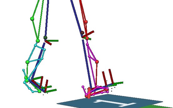Schematische Animation von einem Bein-Skelett mit Gelenkpunkten und Kontaktflächen, Anwendung in der Ganganalyse zur Bewegungsdiagnostik