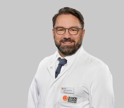 Prof. Dr. Oliver Dierk