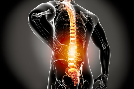 Transparente medizinische Abbildung eines Rückens mit hervorgehobener, farbig markierter Wirbelsäule im unteren Rücken