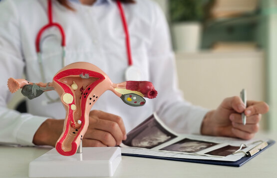 Gynäkologin mit Stethoskop zeigt Anatomiemodell der weiblichen Gebärmutter auf Schreibtisch