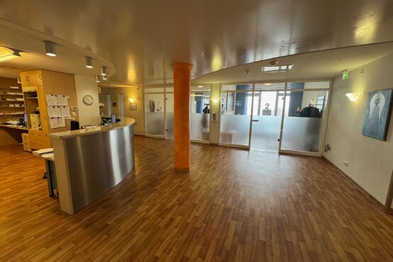 Eingangsbereich einer modernen Arztpraxis mit Holzfußboden, Empfangstresen, gläsernen Türen zu Behandlungsräumen