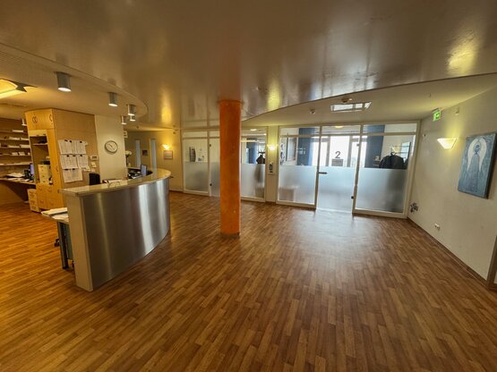 Eingangsbereich einer modernen Arztpraxis mit Holzfußboden, Empfangstresen, gläsernen Türen zu Behandlungsräumen